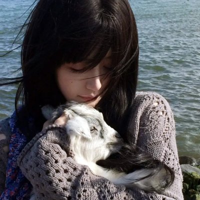 沙海
