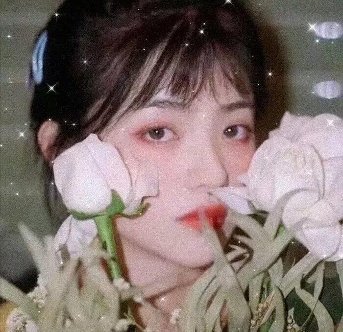 世界温柔的冷漠